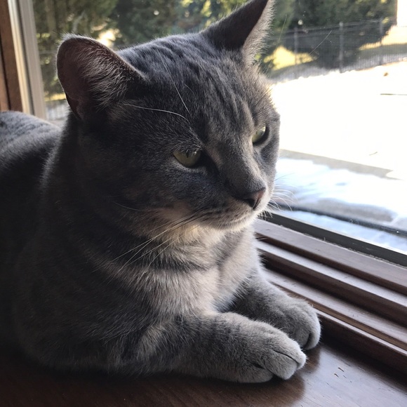 Meet your Posher, Barbara - Picture 1 of 1